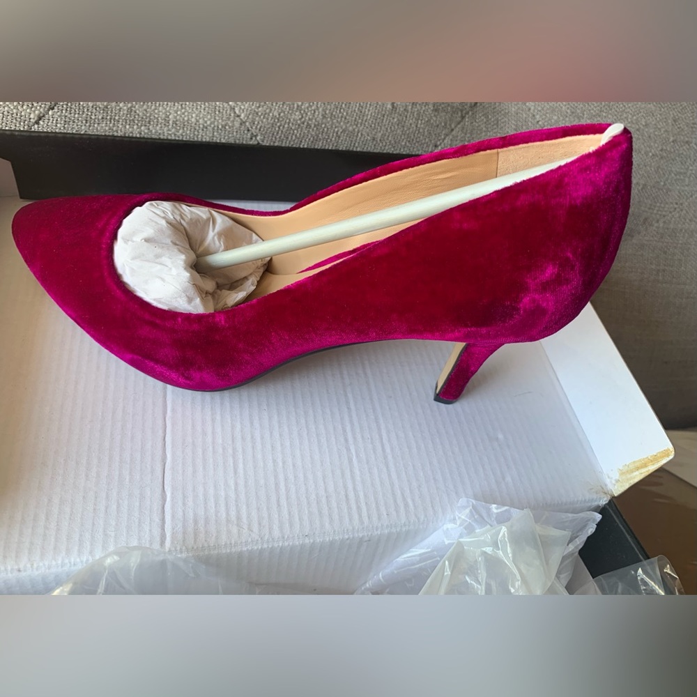 Deep Fuscia Velvet INC Zitah Pumps